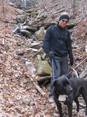 Small falls, old man, black dog in the cold in Poor Mountain Reserve, 3/3/13.
