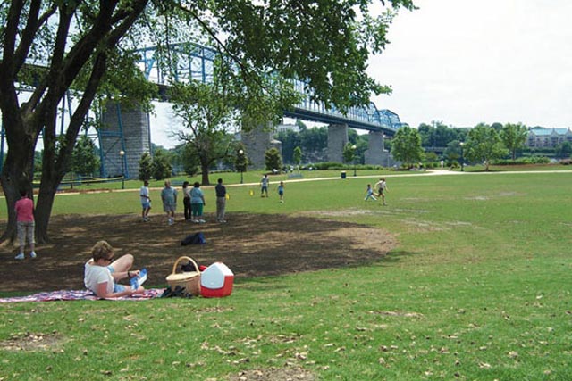The Walnut Street Pedestrian Bridge spans the park above joggers, roller-bladers, picnickers and families.