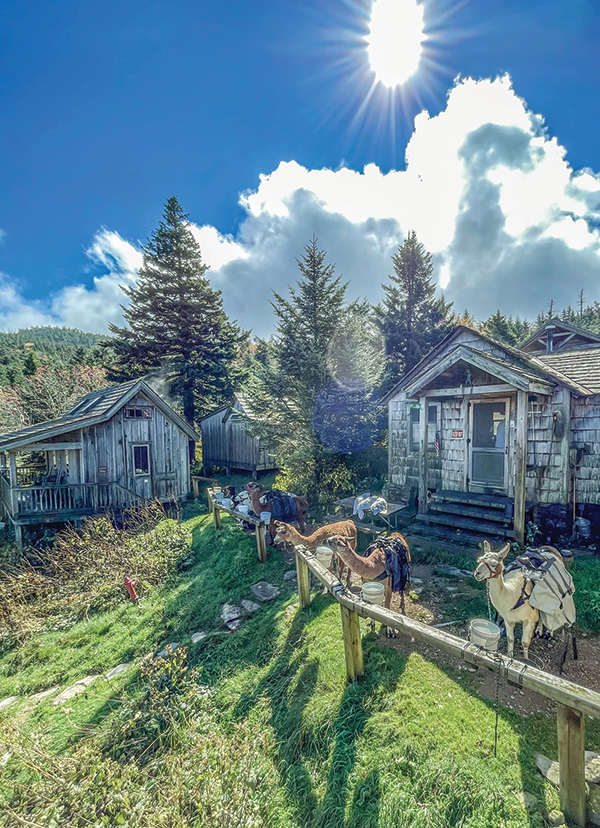 LeConte Lodge, first established in 1925 as a tent camp and at 6,360 feet, predates the park.