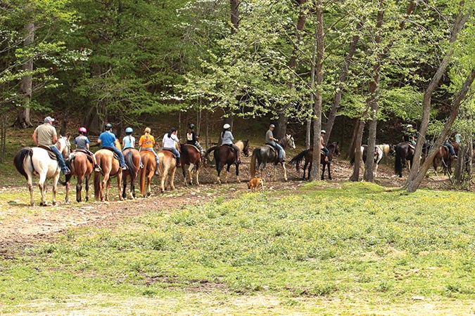 At Georgia’s Trackrock, kids can advance from greenhorn to cantering in one intensive week.