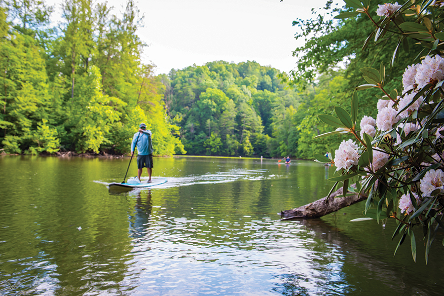 Philpott Lake, Virginia, features rocky shorelines.