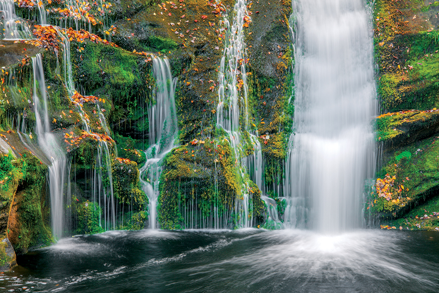 Tennessee’s Cherokee National Forest recently saw 81 acres saved.