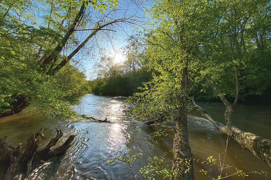 Georgia’s Dawson Forest Wildlife Management Area has been permanently protected.