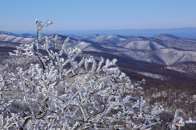 The photo was taken on Hightop Mountain alongside The Appalachian Trail just south of the U.S. 33 entrance to Shenandoah National Park, Virginia. From the photographers: “We love this spot for its magnificent view west into the Shenandoah Valley. Due to its proximity to the entrance and 33, it is accessible during almost any weather. We arrived at sunrise and sprinted up the Appalachian Trail to photograph the frost before it melted.