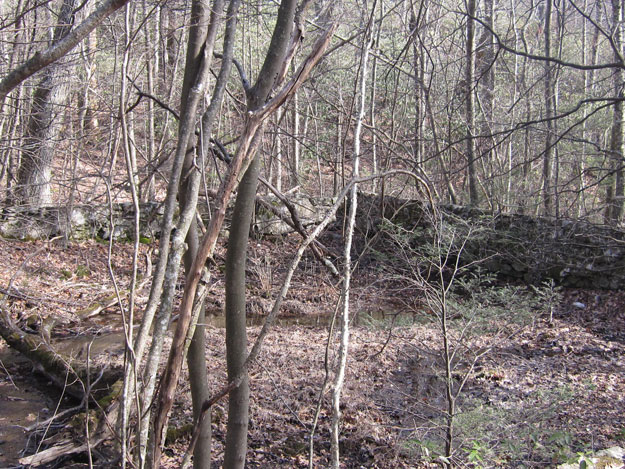 Remains of the old swimming pool along the stream below the former Camp Kewanzee.