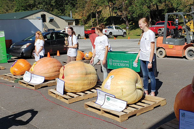 The Farmers Market Biggest Pumpkin Contest in Blairsville, GA.