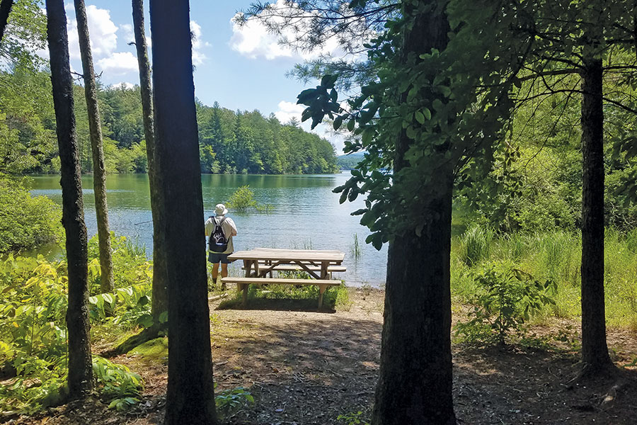 The Lake Nottely Improvement Association donated picnic tables.