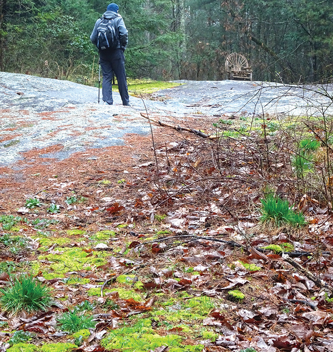 Sloping rock faces are a feature of the trail.
