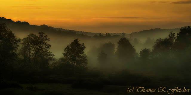 "Memorial Day Dawn"

Big Ditch Wildlife Management Area, West Virginia