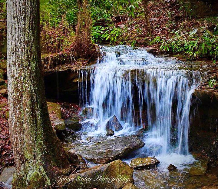 Beautiful waterfall on the Flat Rock Trail, April 2015.

Forest: Daniel Boone National Forest

District: Steams Ranger District

Description: This trail segment is part of the Sheltowee Trace National Recreation Trail. Trailhead parking is provided immediately off U.S. Hwy 27.