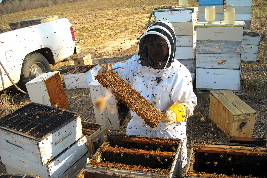 Diane Ravens tends to 50 colonies and makes her own line of products at Appalachian Bee Farm in Polk County, Tennessee.