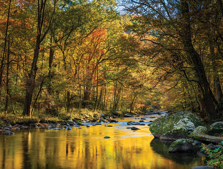 Fall morning along the Little River in the Great Smoky Mountains National Park, Tennessee.  From the photographer: “I always enjoy seeking out colorful reflections on the water in autumn.”