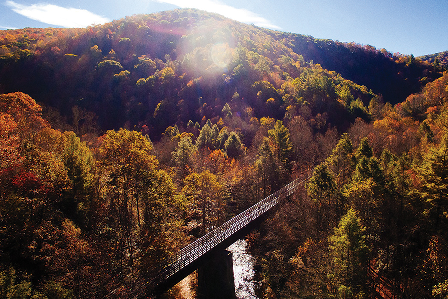 The Virginia Creeper Trail was chosen as best biking trail.