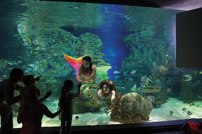 Ripley’s Aquarium of the Smokies includes “mermaids” for kids.
