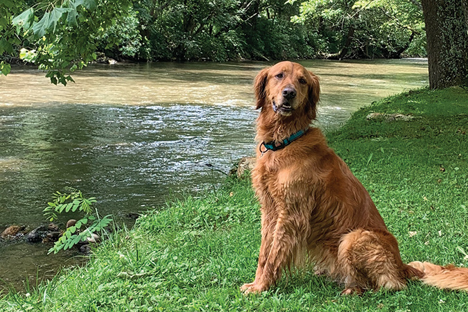 Layla Cannon’s Ellie loves the mountains and the streams.