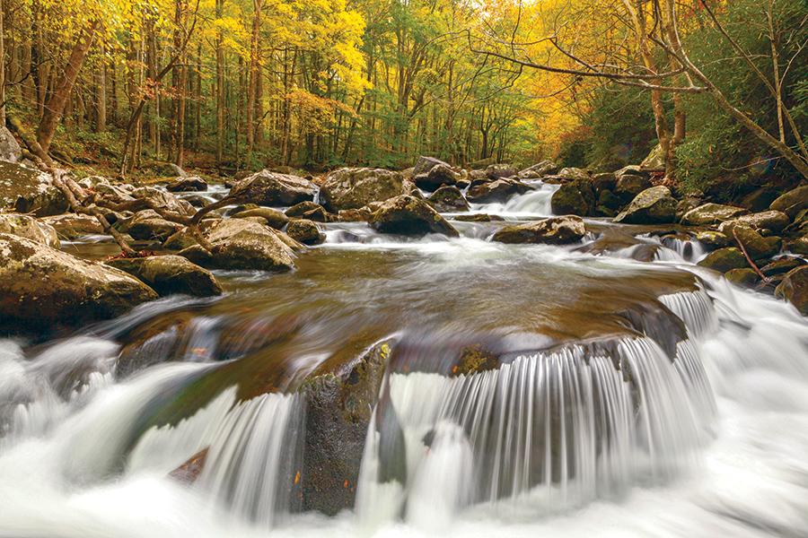 Flowing north through Tremont for six miles, the Little River’s Middle Prong is formed by the confluence of Lynn Camp Prong and Thunderhead Prong, and offers scenic solitude along its colorful shores. From the photographer: “Great Smoky Mountains is America’s most visited national park, and escaping the crowds to enjoy the park’s natural beauty can be a challenge. With proper timing, however, seclusion does exist.”