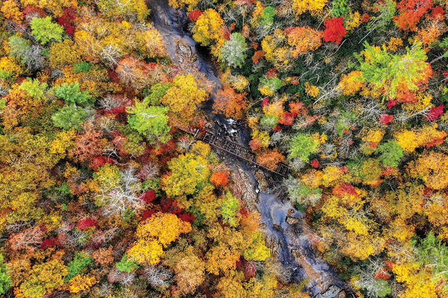This is a drone’s-eye view of an abandoned railroad trestle over the Doe River in Hampton, Tennessee, surrounded by the colors of fall. From the photographer: “This is the remains of the historic East Tennessee & Western North Carolina Railroad, more famously known as the Tweetsie Railroad. Traversing through five tunnels and over many trestles, Doe River Gorge was considered the most scenic section of the beautiful railway between Johnson City, Tennessee, and Cranberry, North Carolina.”
