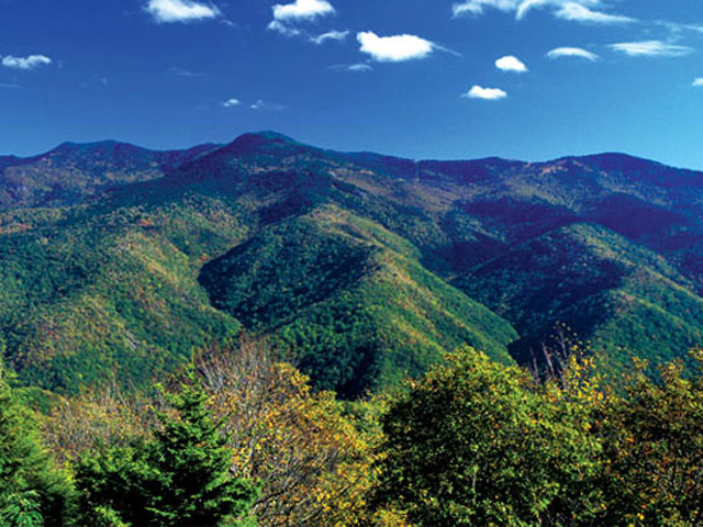 Mount Mitchell, the highest peak in the eastern U.S., rises in Mount Mitchell State Park, encompassing nearly 2,000 acres outside Burnsville.