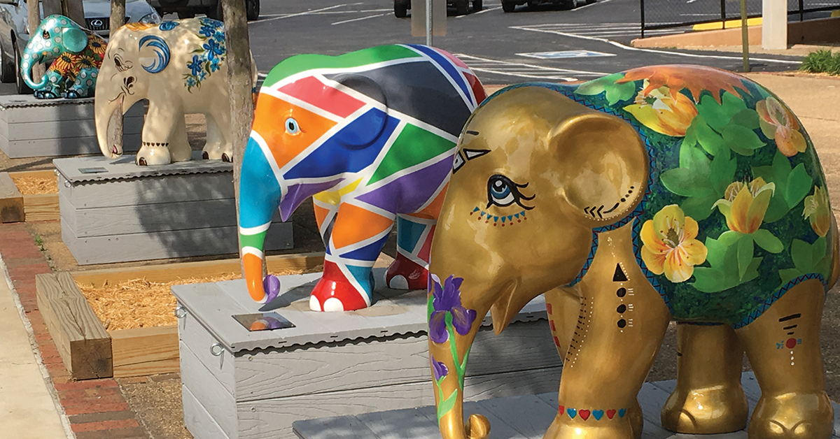 Main Street Erwin comes alive for the Great Outdoors Festival, even in the rain.