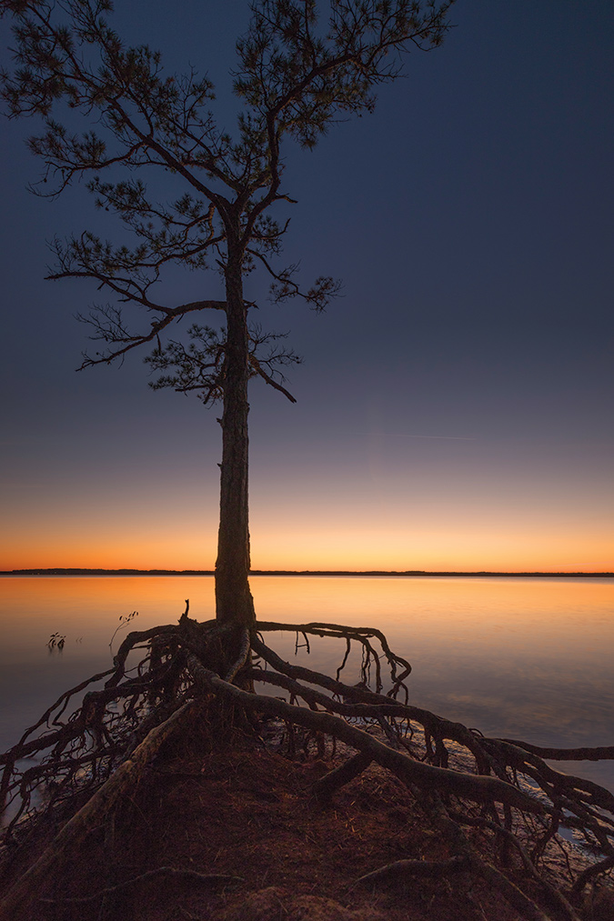 This shot of South Carolina’s Lake Hartwell was taken off of S.C. 29 near Singing Pines Recreation Area. Photographer Bryan Powell “came to this spot for the sunset and stayed for the blue hour.”