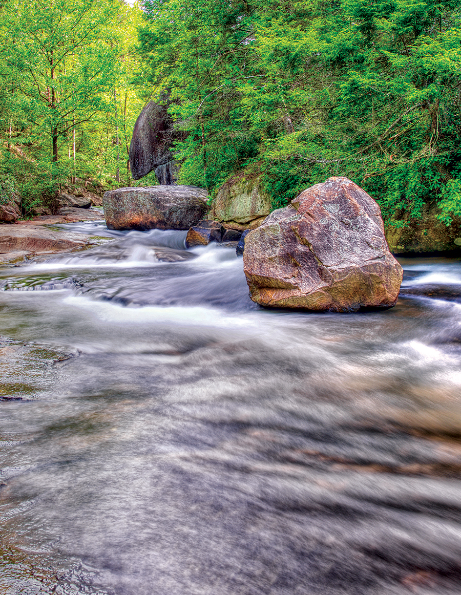 Long Shoals Roadside Park is home to South Carolina’s top swimming hole.