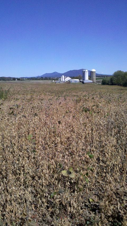 Massanutten Peak and a Shenandoah Valley farm between Harrisonburg and Weyers Cave, Va.
