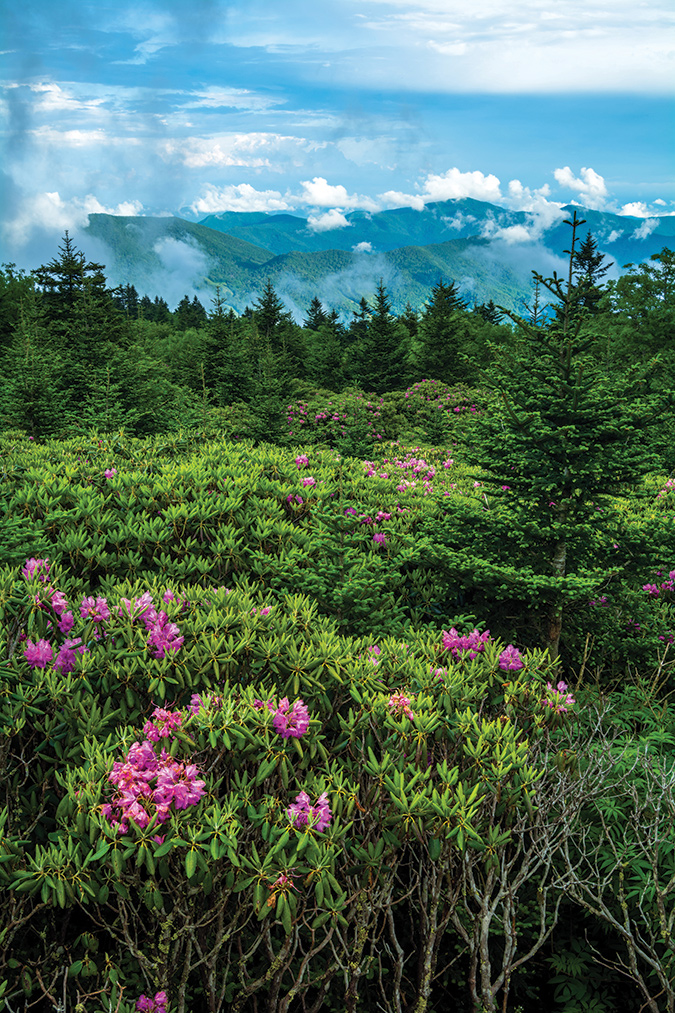 Roan Mountain State Park’s great elevations are a nice match with the lures of Johnson City, Tennessee.