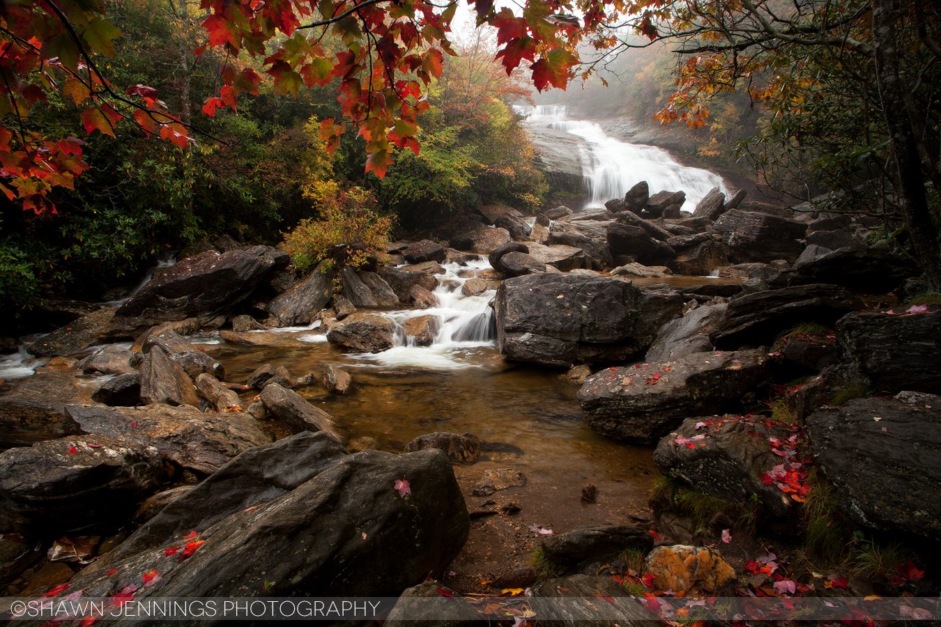 Went up to Graveyard Fields on the Parkway a couple weekends ago. The color was coming along pretty well and I'm sure there's more now. This is Second Falls, just a short hike from the parking area.