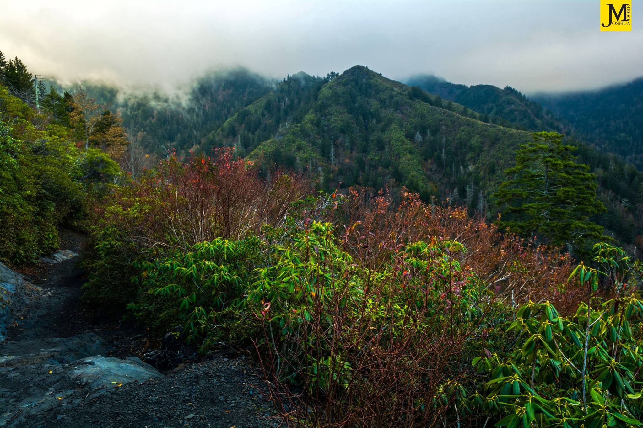 This is one of the views from Inspiration Point. You cross this point along the Alum Cave Trail once you get to the first really high point. The views from here are breath taking. #GSMNP #Landscape #Smokys