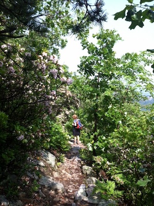 On the way to Buzzard Rocks.
