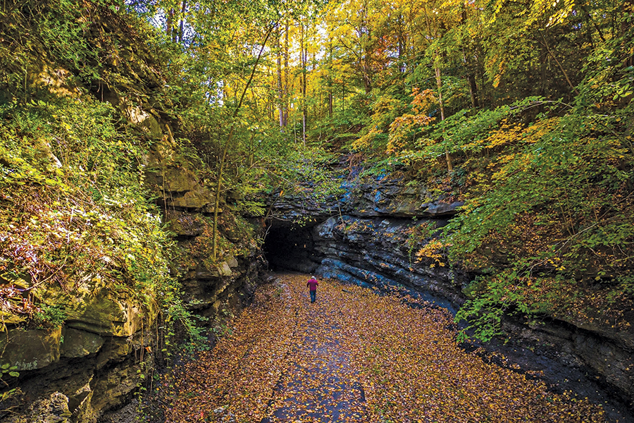 Tanglewood Trail Tunnel, near Whitesburg, is part of a 5-mile walk.