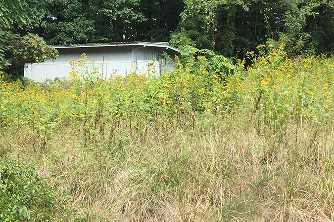 September 14: The old restrooms building at the Mill Mountain Campground, long-since abandoned, is a sad sight to behold.