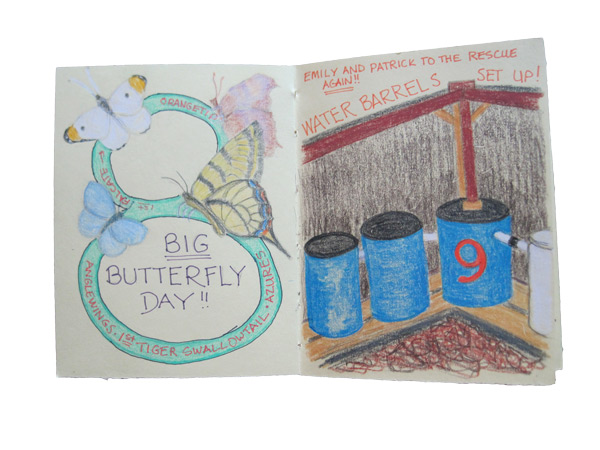 Simple drawings have come to be a way to recognize what each day affords.