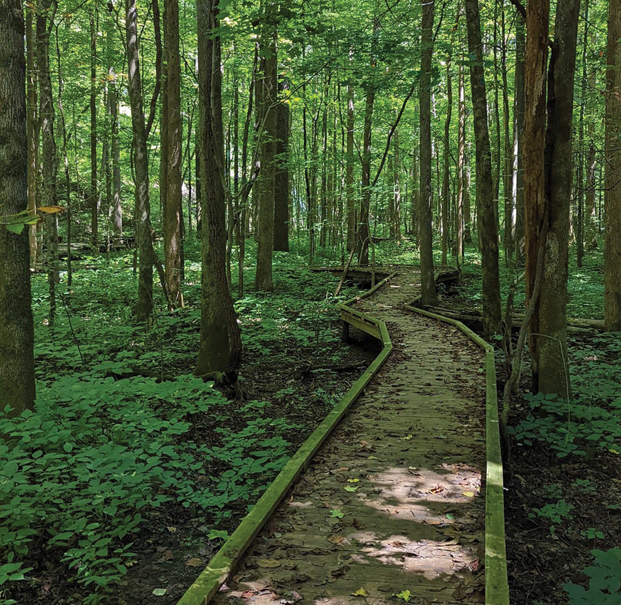 Georgia: Shirley Miller Wildflower Trail