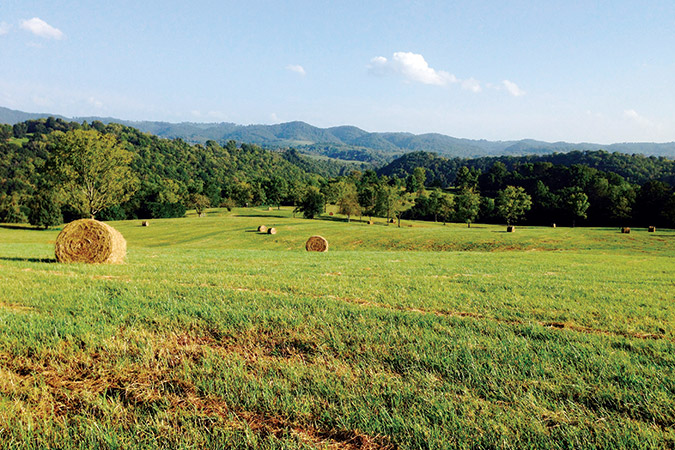 Sugar Hill is the high point of the new Sugar Hill State Park.