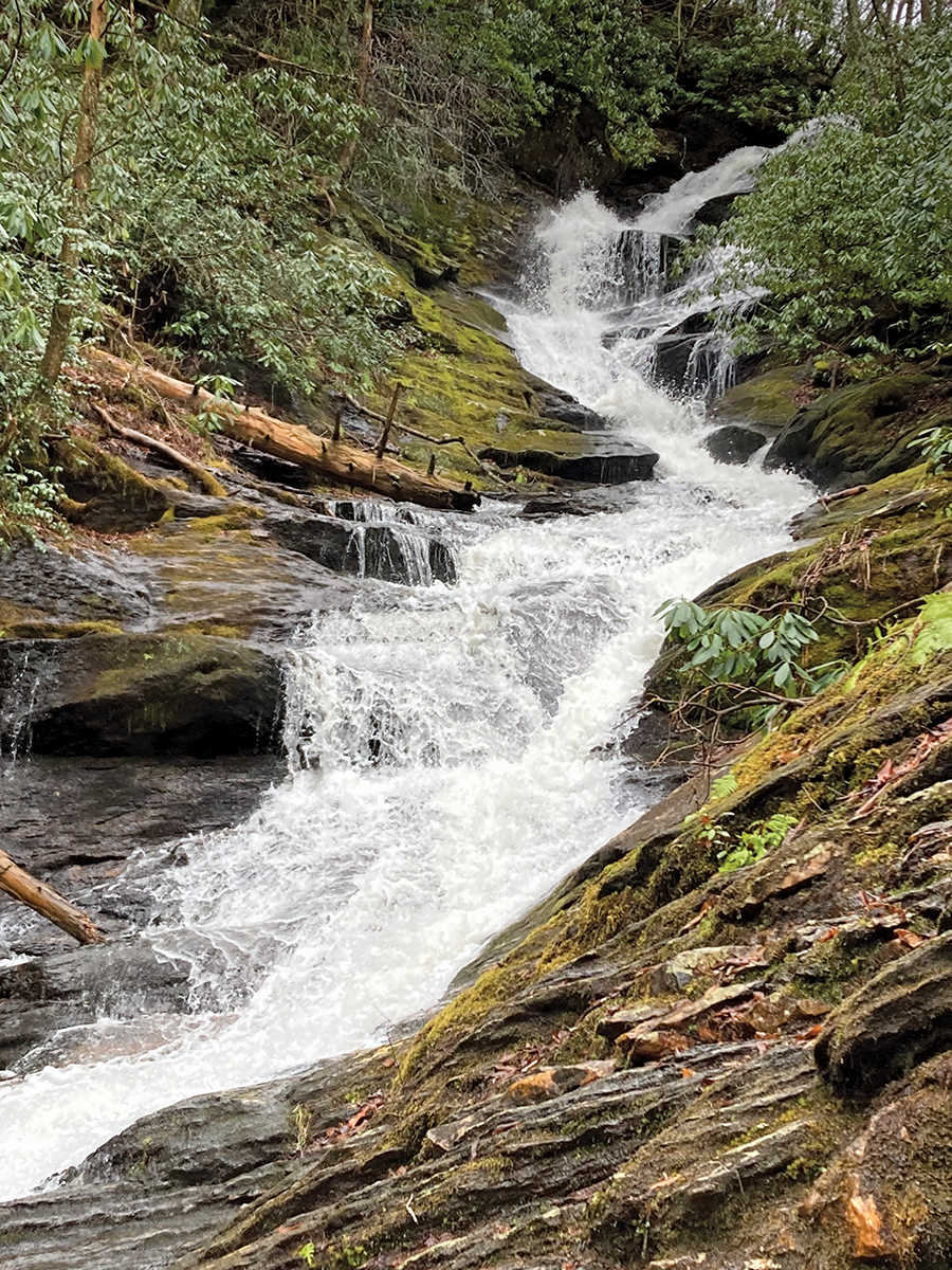 Roaring Fork Creek Falls in the Pisgah National Forest flows fast with early spring rain.