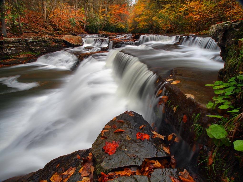 Wow, what a busy weekend! I sure hope everyone had a wonderful and safe holiday! I've still got oodles of images from both my Autumn trips to West Virginia I haven't gone through yet. This one here is one of my favorites that I recently checked out. Campbell Falls in Camp Creek State Park is one of the hidden gems of the state and this was hands down the most water I'd ever seen on it. To get to this perspective you either have to cross the creek just past the splash pool or across the top of the falls. You would think it would be easy peasy to walk across the top and usually it is but this time it was slicker than grease, but as long as you're careful shooting from here is sooo worth it.

© 2014 William H Fultz II. All Rights Reserved. Sharing is both appreciated and encouraged. Please do not download or use this image for personal use in any way with out the permission of William H Fultz II.
