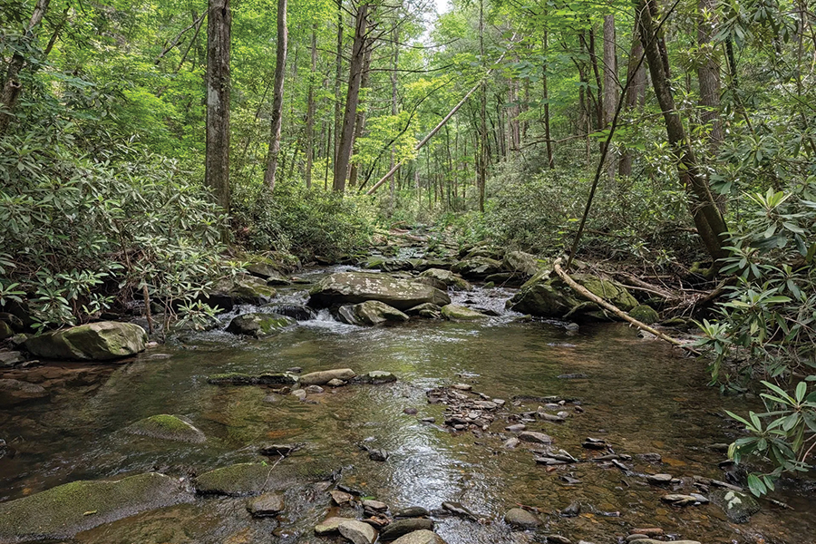 In Georgia, Sugar Creek Hollow Preserve supports wildlife corridor connectivity and biodiversity.