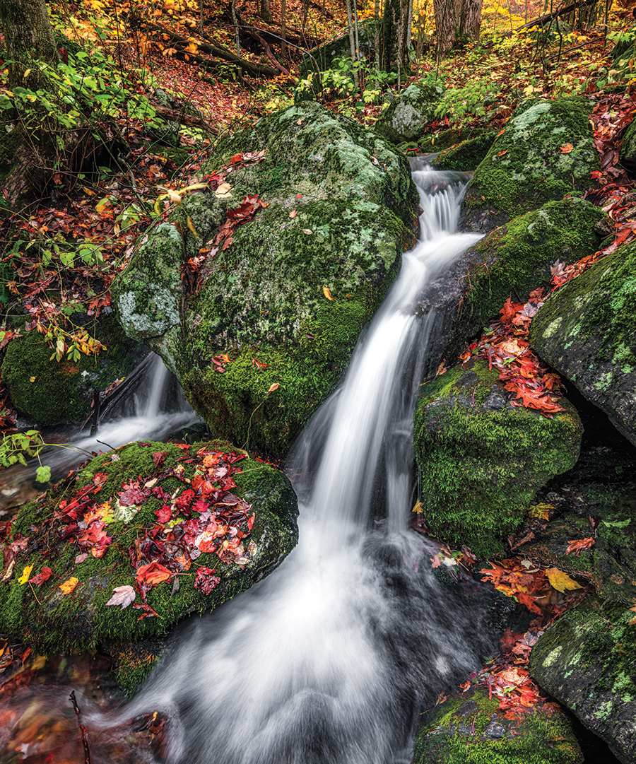 Location: Blue Ridge Parkway south of Tye River Gap in Virginia. From the photographer: “The beauty of the location surprised me.  There were no trails nearby. The photo opportunity demanded that I sacrifice my warm feet to the chill of the running stream. My boots were not tall enough to keep the water out—a small price to pay to capture the elegance that the stream and its surroundings freely provided.”