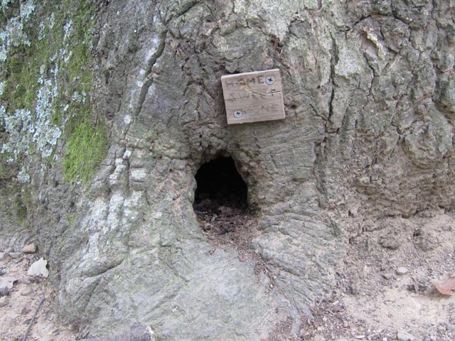 Hiker humor at the base of a tree along the AT a short ways south of 311.
