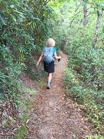 September 7: The AT section from Black Horse Gap to Wilson creek includes a good section of rhododendron tunnel.