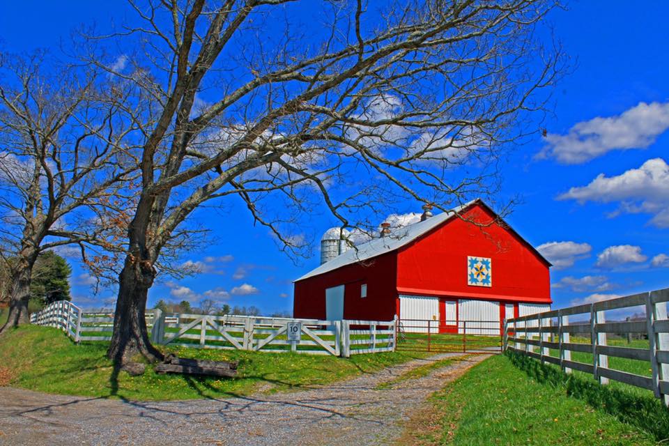"Roadside View"
Taken in Pocahontas County, West Virginia yesterday such a gorgeous spring day