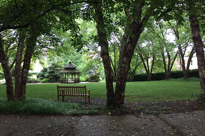 June 9, ’19: When you take the scenic route from our house to the Tanglewood Mall area, you pass the soon-to-be-replaced gazebo in the Community Garden.