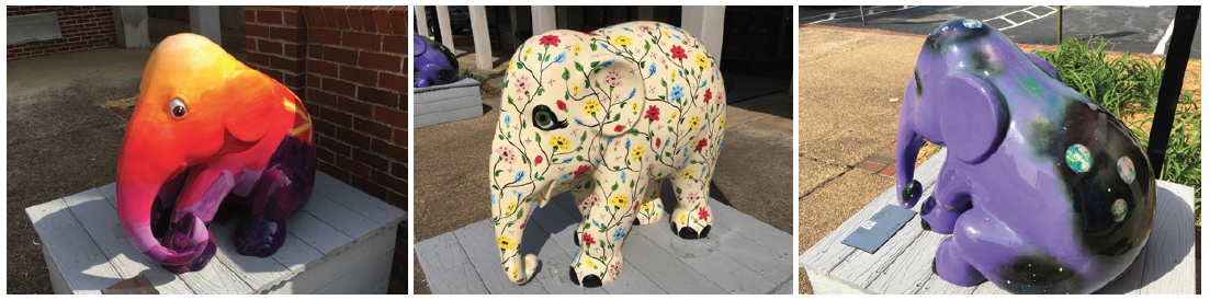 Elephants from the Elephant Revival Herd.