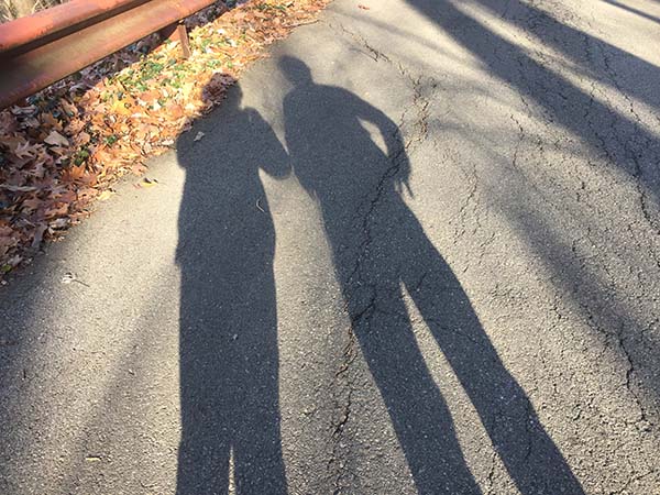 Shadows on the Mill Mountain Loop Road.