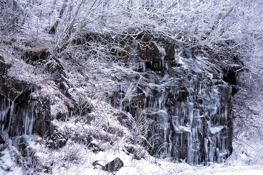 Winter on Roan Mountain can be brutal, with temperatures that can drop well below zero, and winds can be dangerous. Once the temperature drops below 32 degrees, the slow drips that trickle down the mountain start to form icicles as seen in this image. The cold also freezes the moisture in the air, forming hoarfrost, a deposit of ice crystals left on objects exposed to the free air, such as grass blades, tree branches, or leaves.