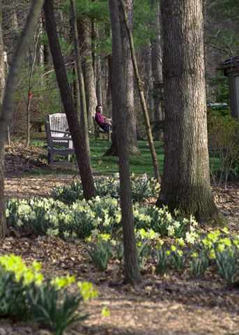 Walking trails wind through the 125 acres of the Edith J. Carrier Arboretum, opened by James Madison University in 1989.
