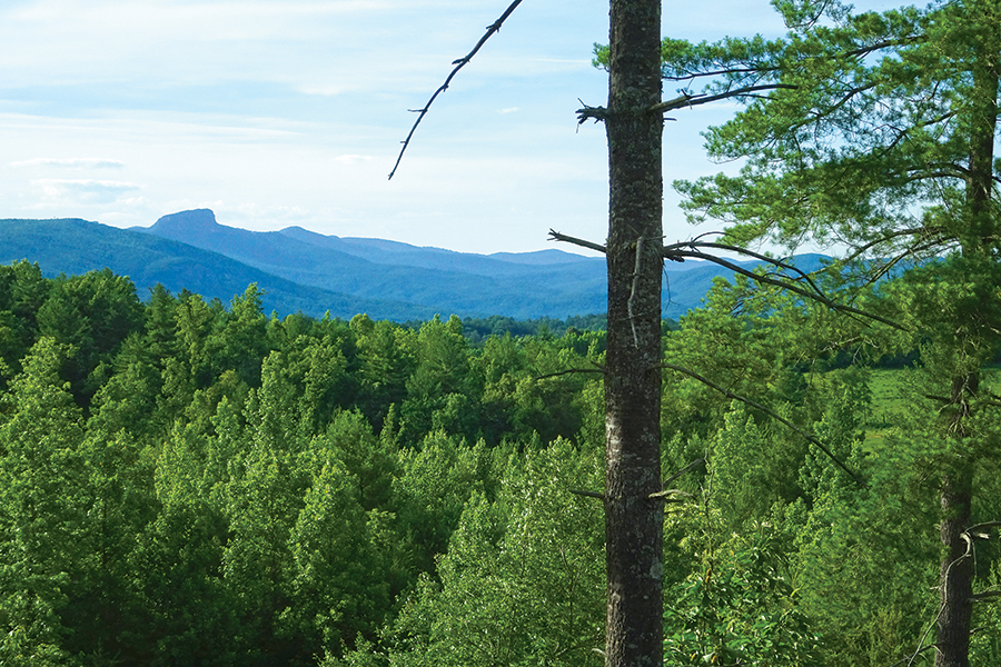 The Loft Air B&B offers great views of the mountains.