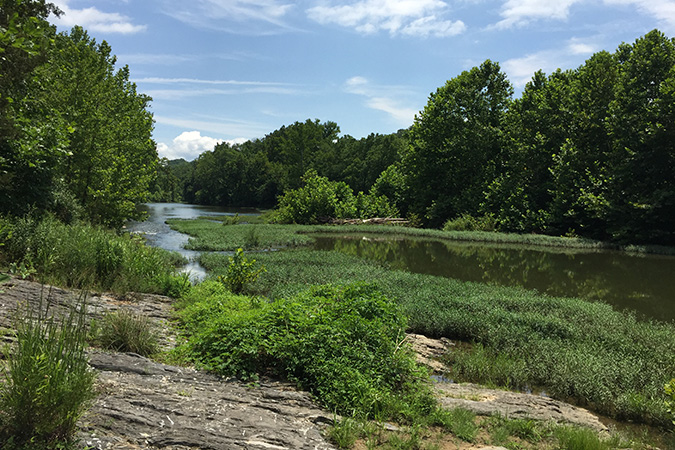 Chessie Nature Trail
