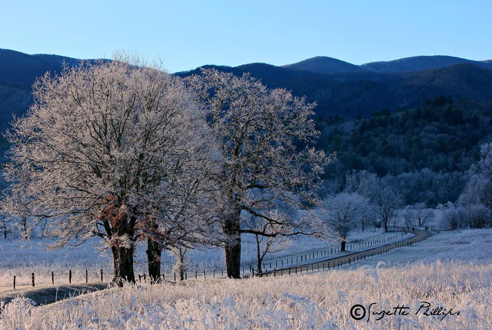 A frosty Hyatt Lane in Cades Cove